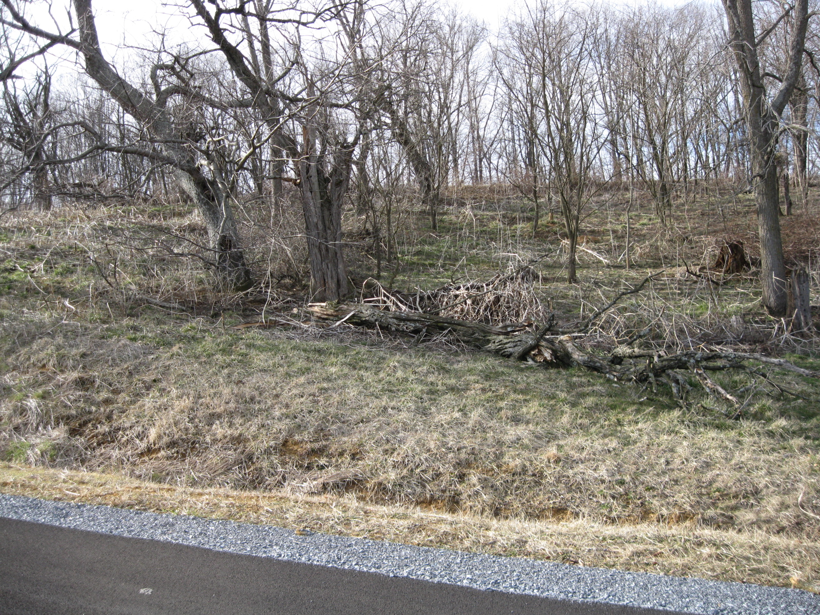 Broady-Lee Cemetery - Photo 1