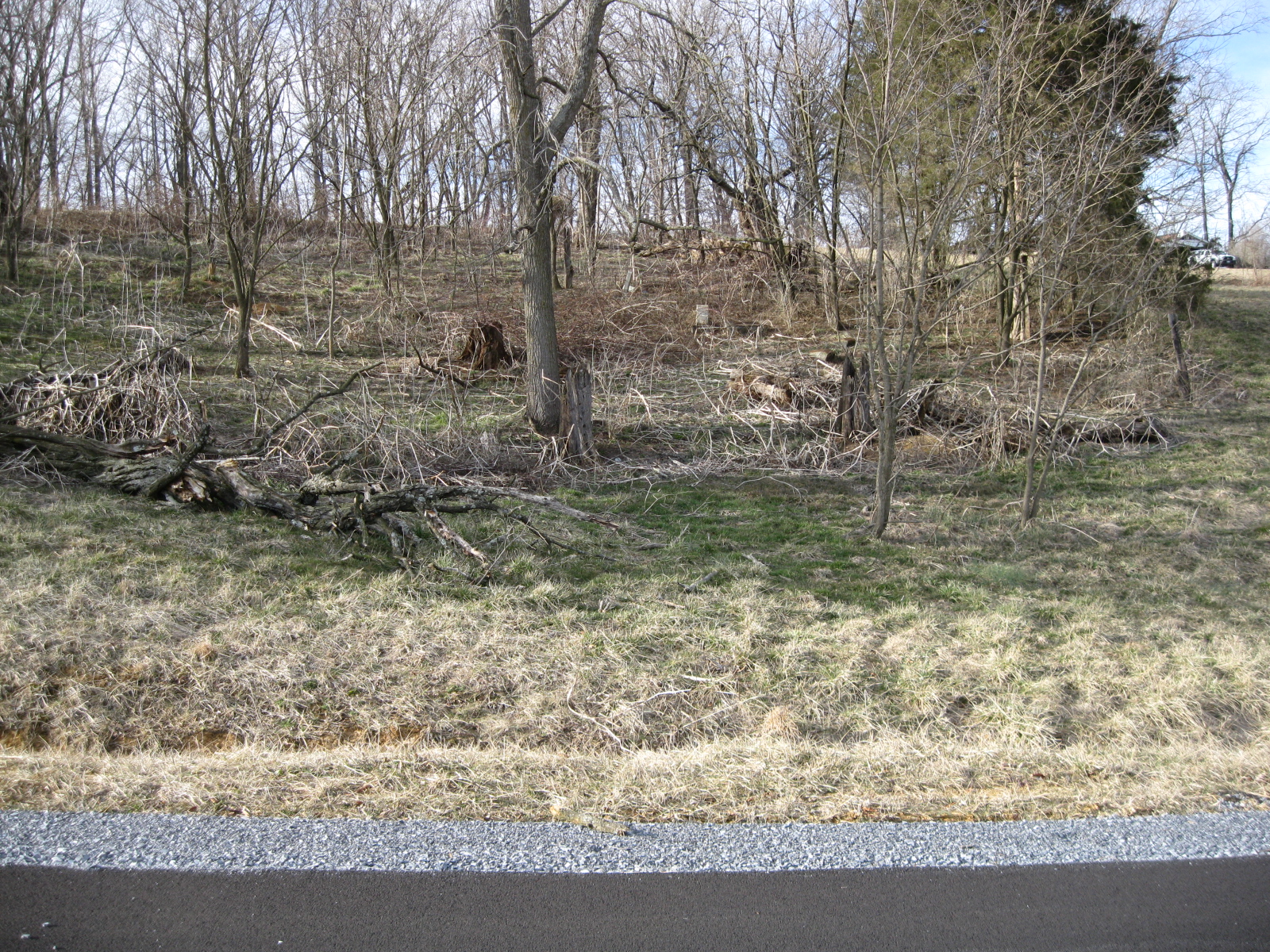 Broady-Lee Cemetery - Photo 2