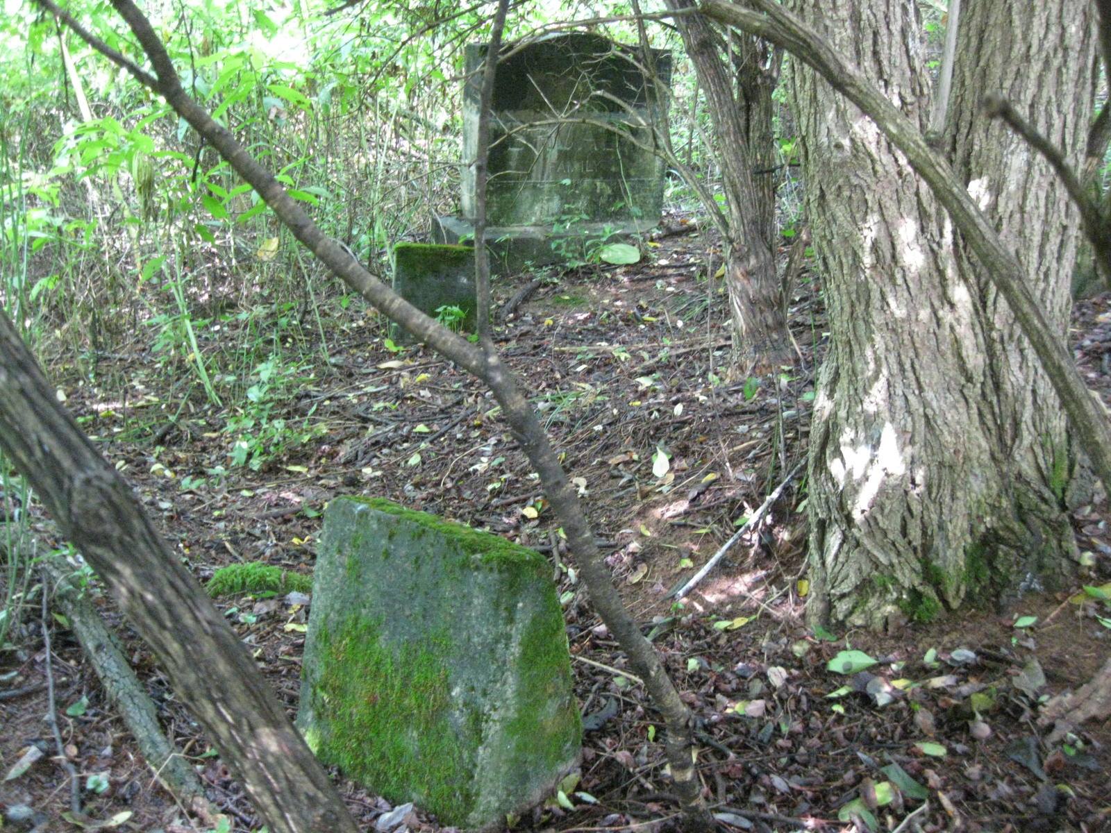 Broady-Lee Cemetery - Photo 3