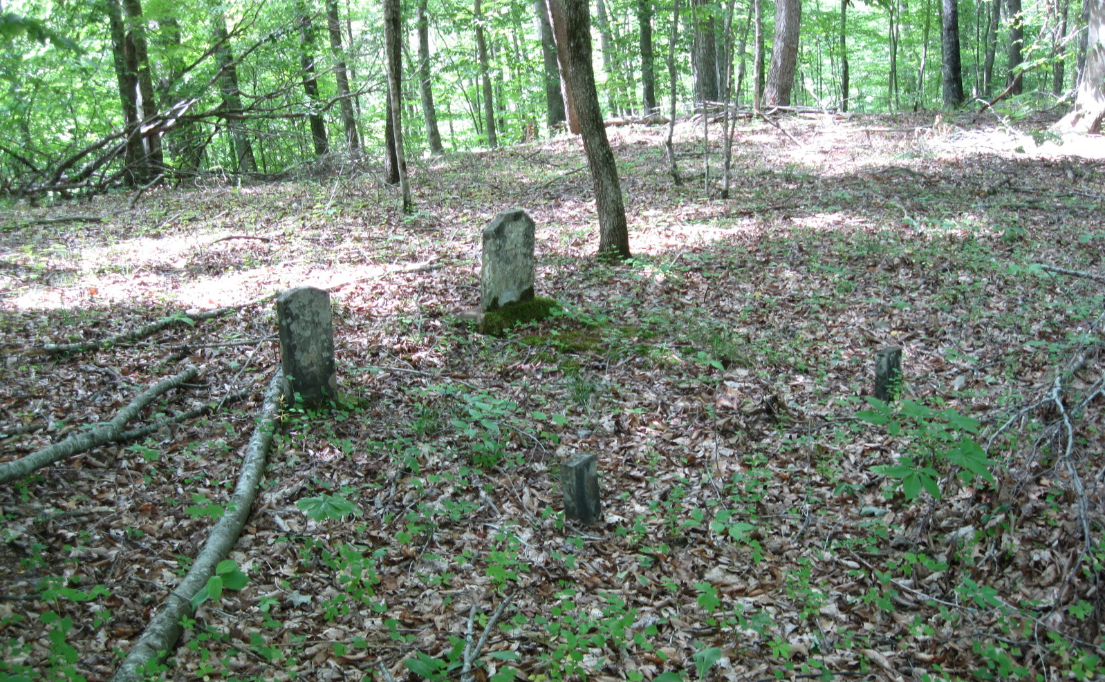 Neal Cemetery - Photo 1